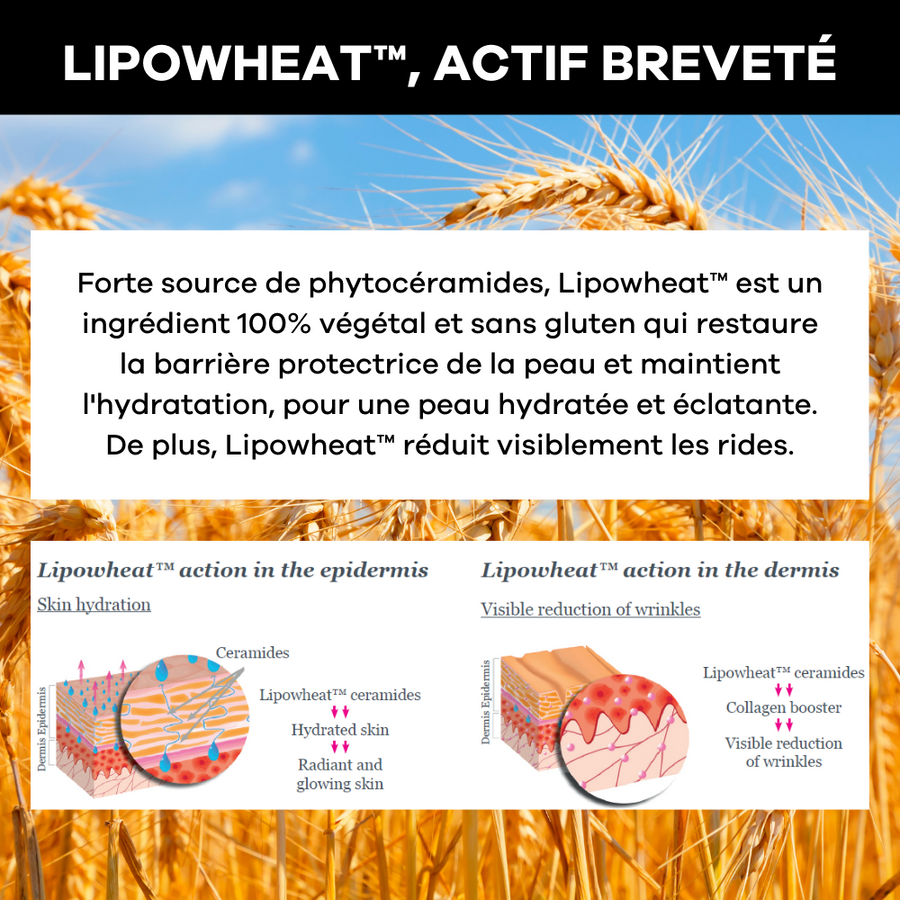 lipowheat-actif-brevet-efficace-naturel